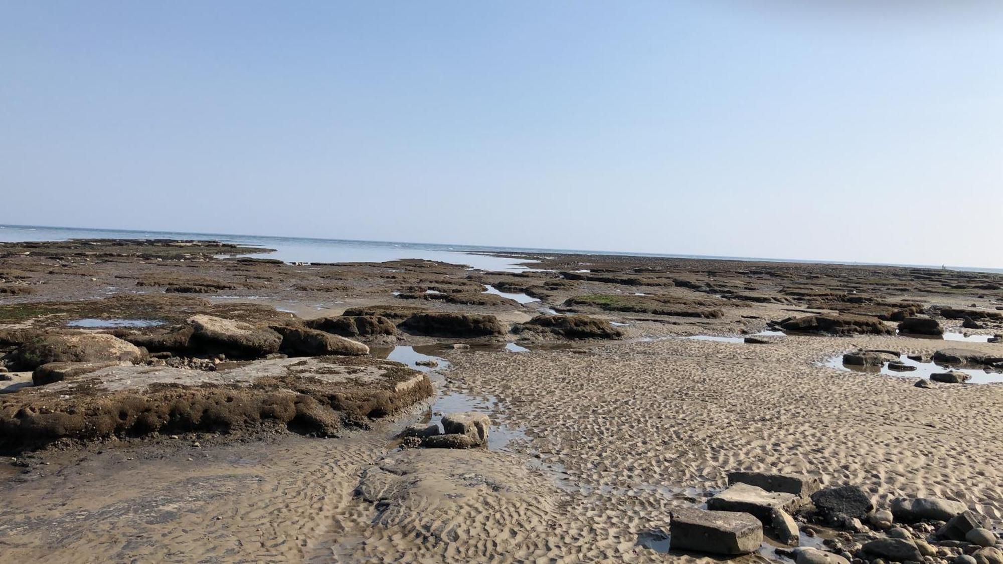 Billie'S Seaside Retreat Villa ไลม์รีจิส ภายนอก รูปภาพ